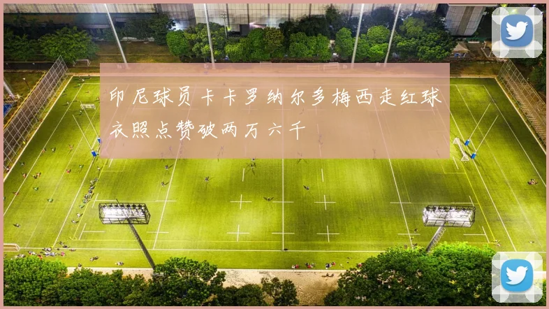 印尼球员卡卡罗纳尔多梅西走红球衣照点赞破两万六千