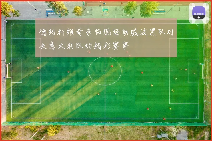 德约科维奇亲临现场助威波黑队对决意大利队的精彩赛事