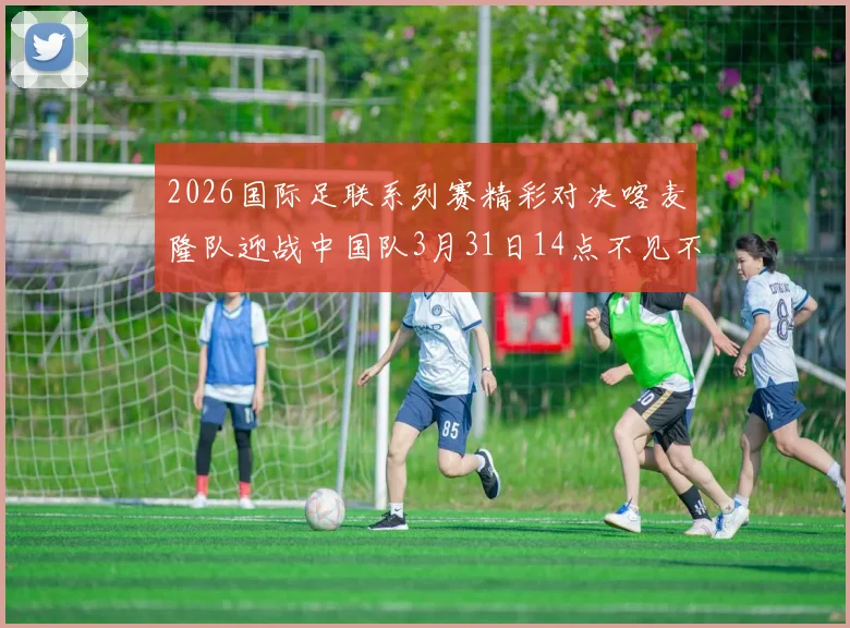 2026国际足联系列赛精彩对决喀麦隆队迎战中国队3月31日14点不见不散